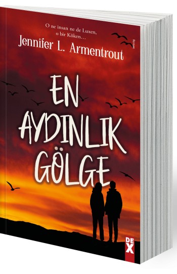En Aydınlık Gölge - SC