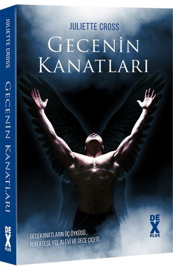 Gecenin Kanatları - SC