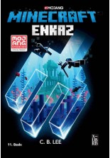 Minecraft - Enkaz