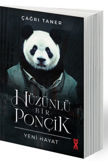 Hüzünlü Bir Ponçik - SC