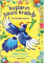 Kuşların Sihirli Krallığı Uyuyan Sinek Kuşları