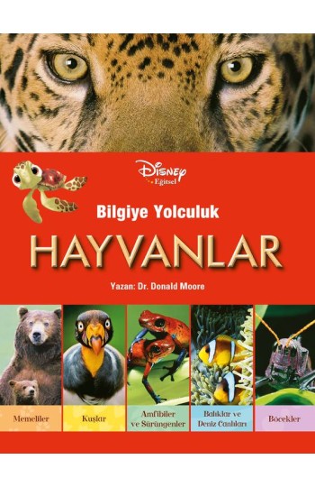 Bilgiye Yolculuk - Hayvanlar