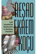 Eski İstanbul'da Meyhaneler ve Meyhane Köçekleri - SC