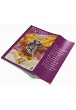 Narnia Günlükleri 4 Prens Caspian